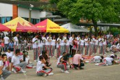 Imagen 48
