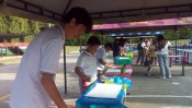 cosecha